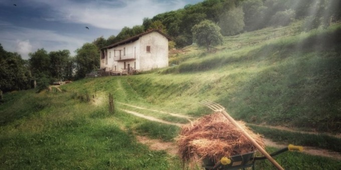 Appuntamento il 12 novembre con “Chi si nasconde nel bosco?”