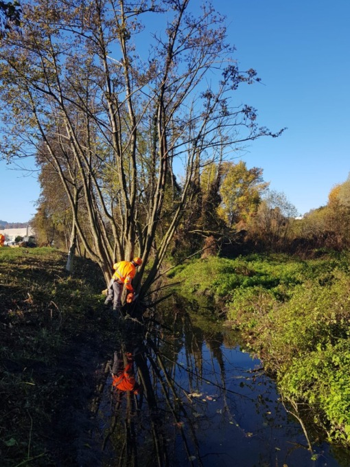 Pulizia del Calendone grazie a volontari, Protezione civile e Amministrazione