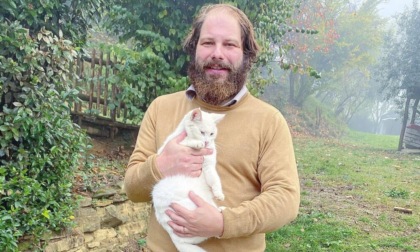 Gattina intrappolata nelle fognature, tratta in salvo