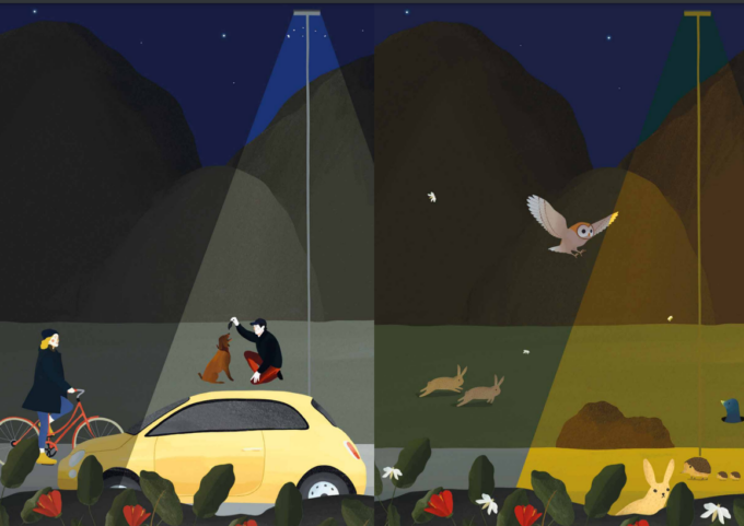 Progetto pilota di illuminazione pubblica per tutelare uomini e animali