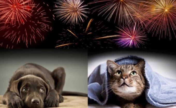 Capodanno senza fuochi d’artificio, botti e petardi