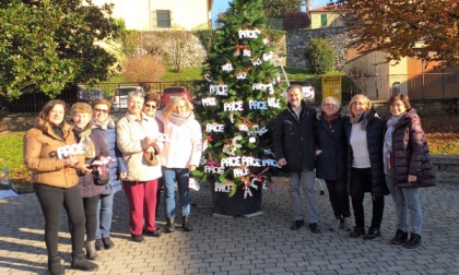 Albero di Natalina riempito con speciali decorazioni