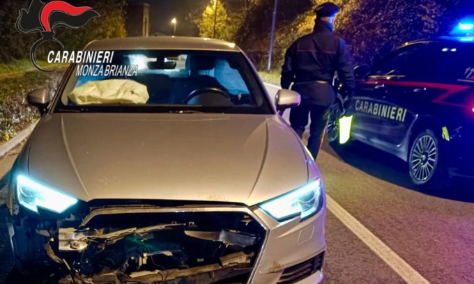 Scontro fra un’auto e un cinghiale