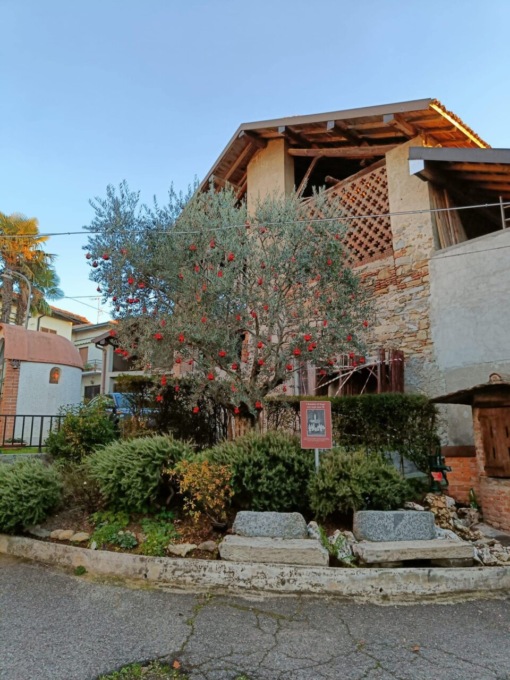 A Barzanò i cittadini addobbano la città per Natale: ecco come partecipare