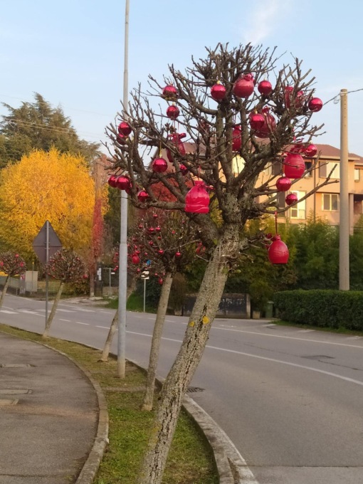 Natale a Barzanò