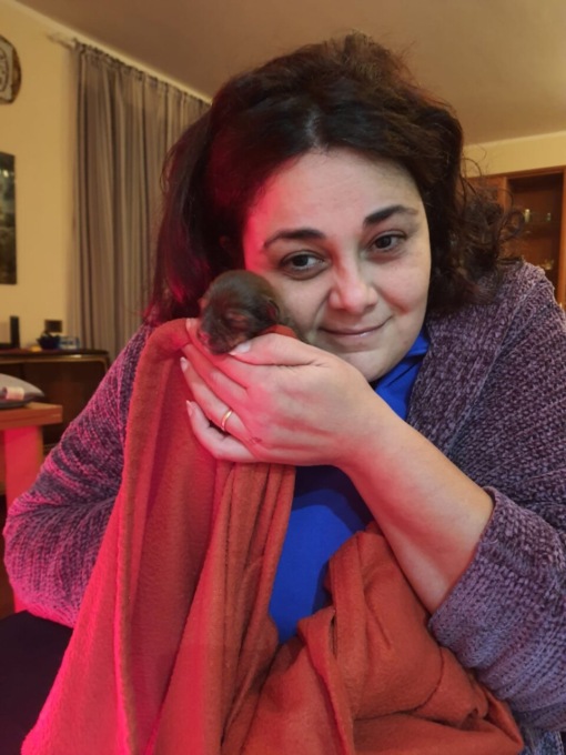 Dipartimento benessere animali Lega, Debora Piazza nuova responsabile