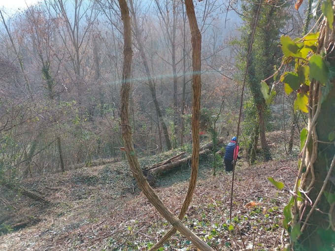 Lavori per valorizzare i boschi a Robbiate e Calusco
