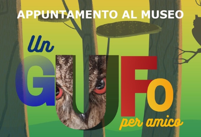 “Un gufo per amico” arriva al Museo Civico