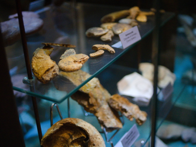 La geologia prende vita con nuovi laboratori