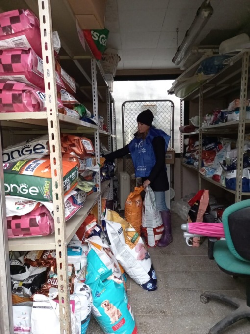 Il canile di Merate cambia gestione dopo 20 anni