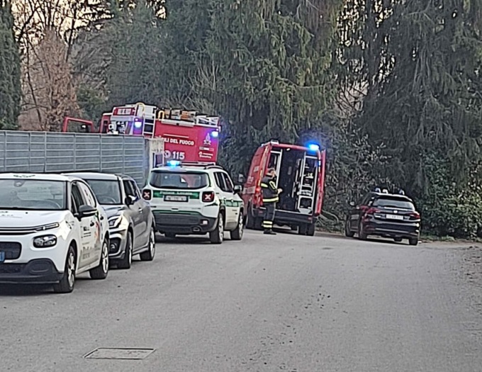 Uomo travolto dall’albero che stava tagliando