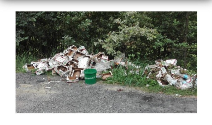 Pulizia del paese con i Greenboys