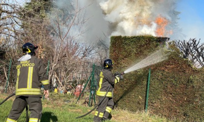 Incendio nella mattinata, prende fuoco una siepe