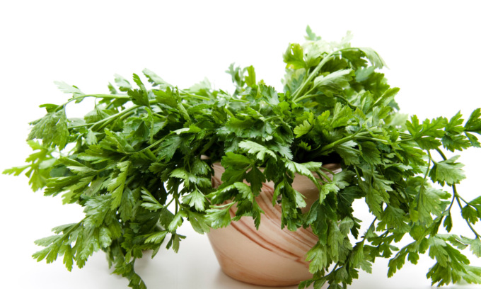 Da oggi in regalo i semi di prezzemolo con il Giornale di Merate