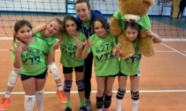 Volley Team Brianza: weekend di sorrisi per il gruppo S3 Red, l'U18 vola agli ottavi di finale FOTOGALLERY