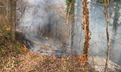 Brucia il bosco tra Santa Maria Hoè e Colle Brianza