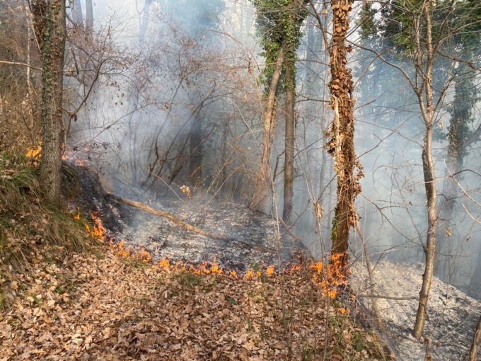 Brucia il bosco tra Santa Maria Hoè e Colle Brianza