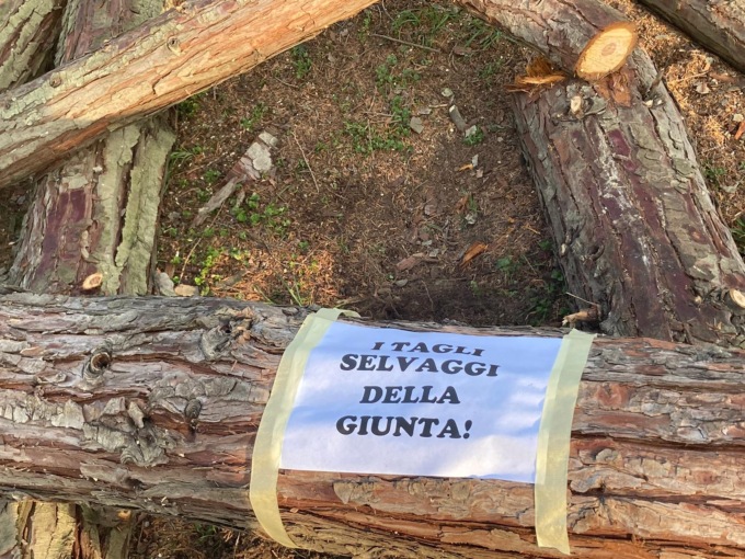 Cartelli contro l’abbattimento degli alberi in piazza: “Che scempio!”