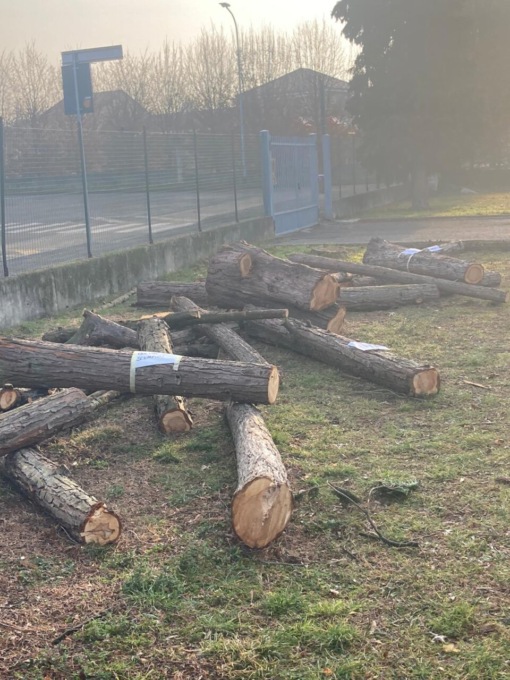 “La Vittoria del Parco” replica alle accuse di Upai sull’abbattimento degli alberi