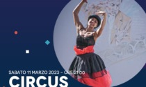 "Merate…che spettacolo!": torna Artemis Danza