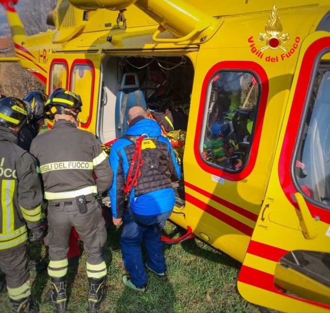 Colpito da un albero: grave un taglialegna