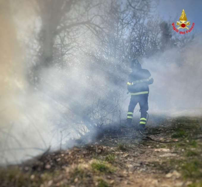 Grosso incendio bosco: in azione anche l’elicottero