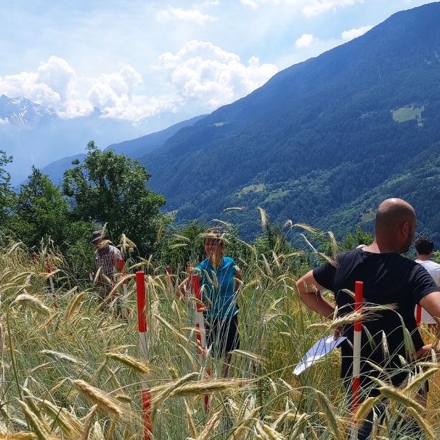 Fondazione Cariplo, 30 anni di impegno per uno sviluppo davvero sostenibile