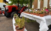 Fior fiore di Paderno: bancarelle e laboratori floreali