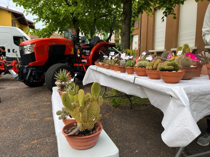 Fior fiore di Paderno: bancarelle e laboratori floreali