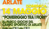 "Pomeriggio tra i fiori", al campo sportivo di Arlate