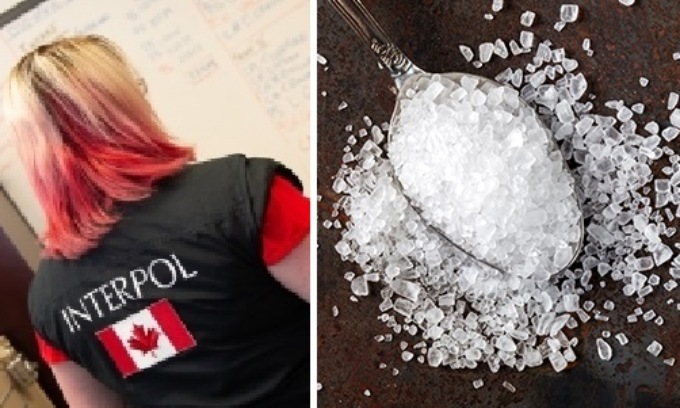 Kit del suicidio, aperte le indagini in provincia