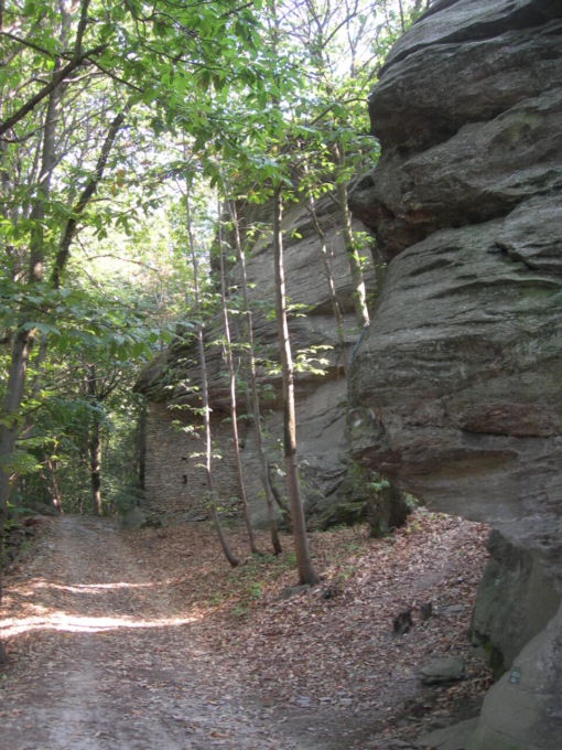 Si investe ancora sul sentiero di Leonardo