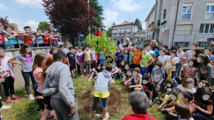 Un gelso per la Scuola Primaria di Casatenovo