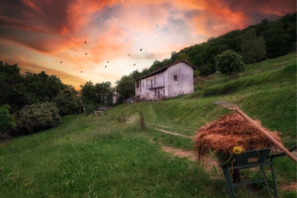 Domenica torna Transizioni Fest a Cascina Rapello