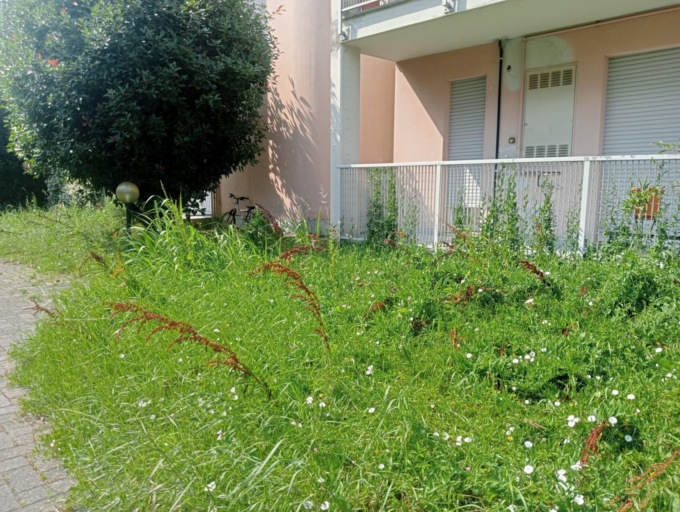 Degrado nelle case Aler di Osnago: “Siamo abbandonati a noi stessi”