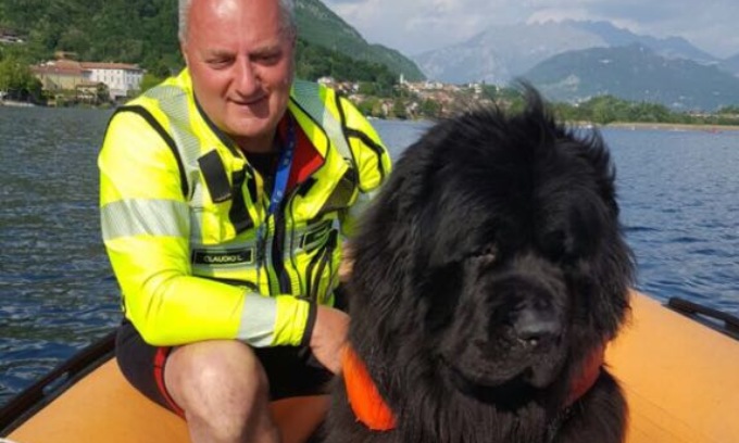 Franz, il cane bagnino “brianzolo” riposa nelle anche del suo amato lago