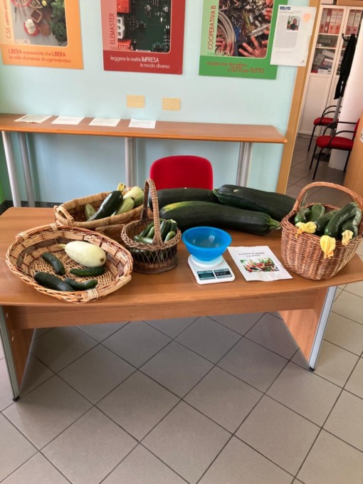 Casa Amica, realizzato un giardino sensoriale e orticolturale