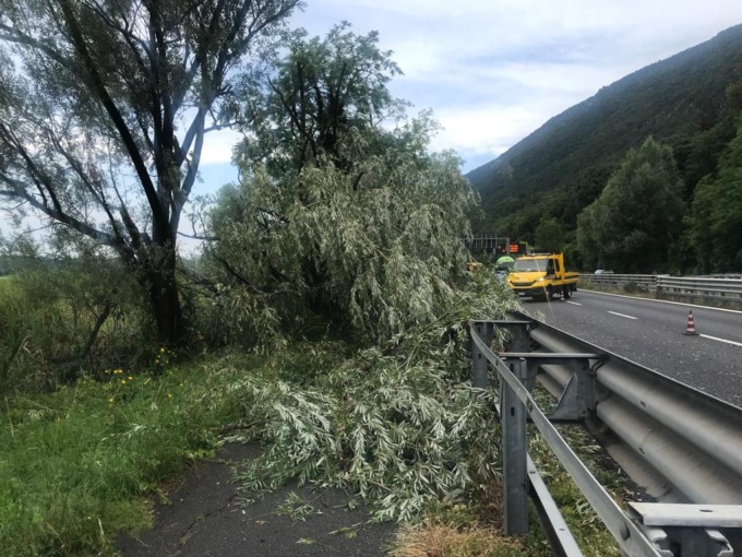 In prognosi riservata il motociclista caduto in Super per evitare una pianta abbattuta dal vento