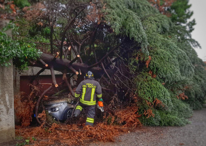 Danni del maltempo, alberi caduti bloccano le strade