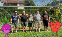 VolontariaMente in piazza Prinetti con il gazebo dell'orto sociale