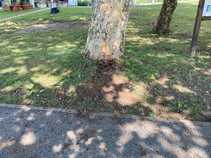 Ragazzini in codice rosso per un fulmine che ha colpito un albero