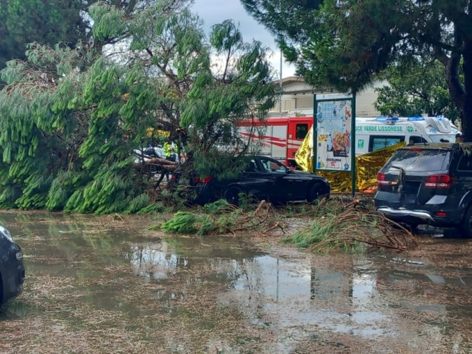 Tragedia in Brianza: donna muore travolta da un albero