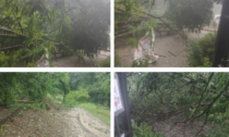 Maltempo: danni e alberi abbattuti in riva all'Adda