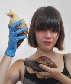 “Allevo chiocciole giganti e me ne frego dei pregiudizi”