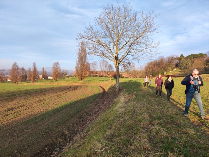 Riparte  “Album – Brianza paesaggio aperto”