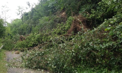 Maltempo, il Comune di Colle Brianza dichiara lo stato d'emergenza