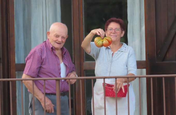 A Monte Marenzo è partita la sfida per il pomodoro più pesante. Il record attuale: 1Kg e 32 grammi