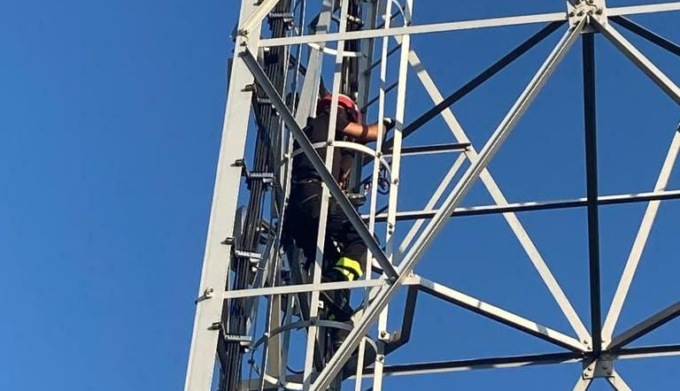 Intervento dei Vigili del fuoco per salvare delle rondini rimaste bloccate tra i cavi di un traliccio