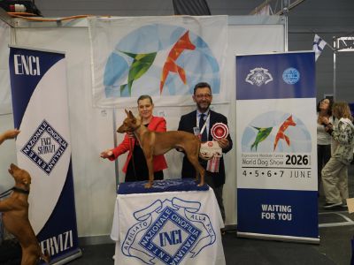 L’eleganza di Argo premiata col titolo mondiale