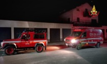 Circondati dai cinghiali: intervengono i Vigili del fuoco